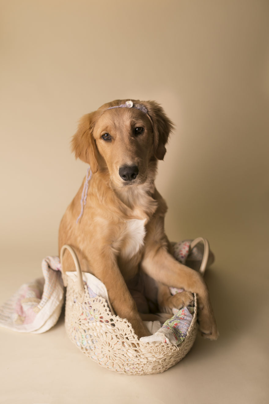 My Son Kept Asking Me For A New Baby, So I Got One...