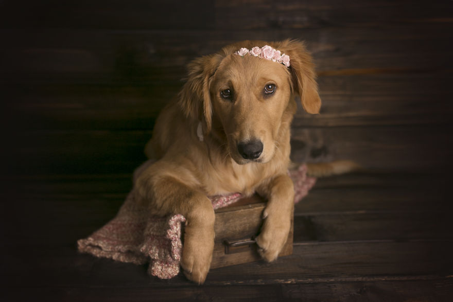 My Son Kept Asking Me For A New Baby, So I Got One...