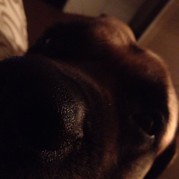 Hey Dude!!! I Need To Pee!!! (4:00am And Frozen Outside)... I Love Him So Much!