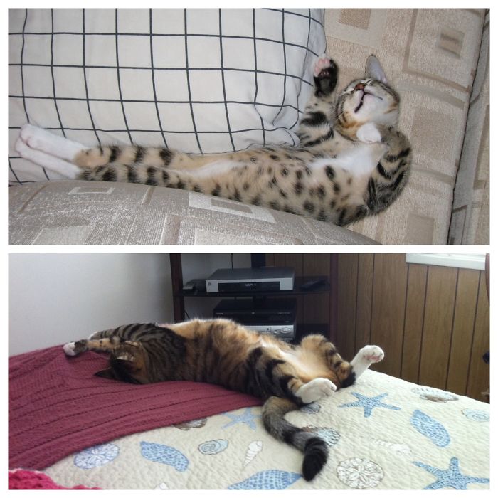 Milton Grows, And Grows, And Grows