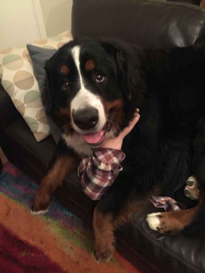 I'm Under There Somewhere...