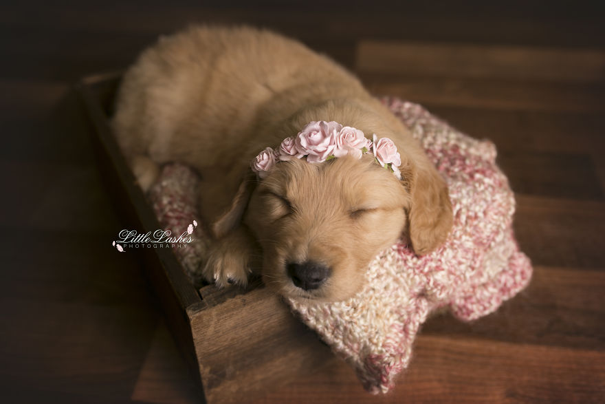 My Son Kept Asking Me For A New Baby, So I Got One...