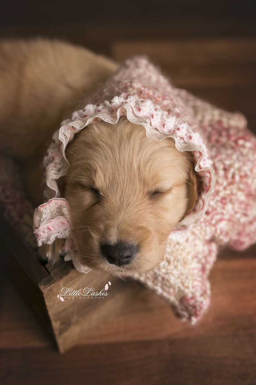 My Son Kept Asking Me For A New Baby, So I Got One... My Son Kept Asking Me For A New Baby, So I Got One...