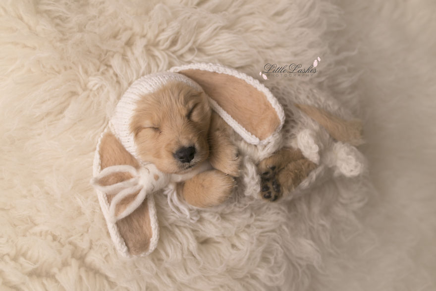 My Son Kept Asking Me For A New Baby, So I Got One... My Son Kept Asking Me For A New Baby, So I Got One...