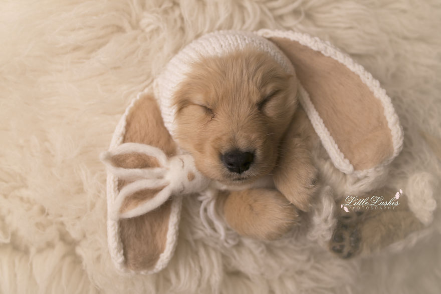 My Son Kept Asking Me For A New Baby, So I Got One...