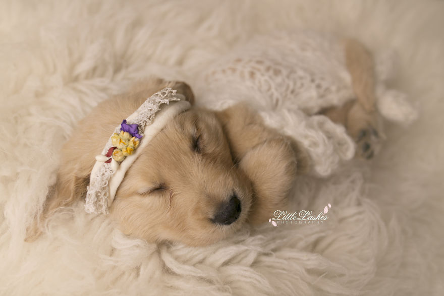 My Son Kept Asking Me For A New Baby, So I Got One...