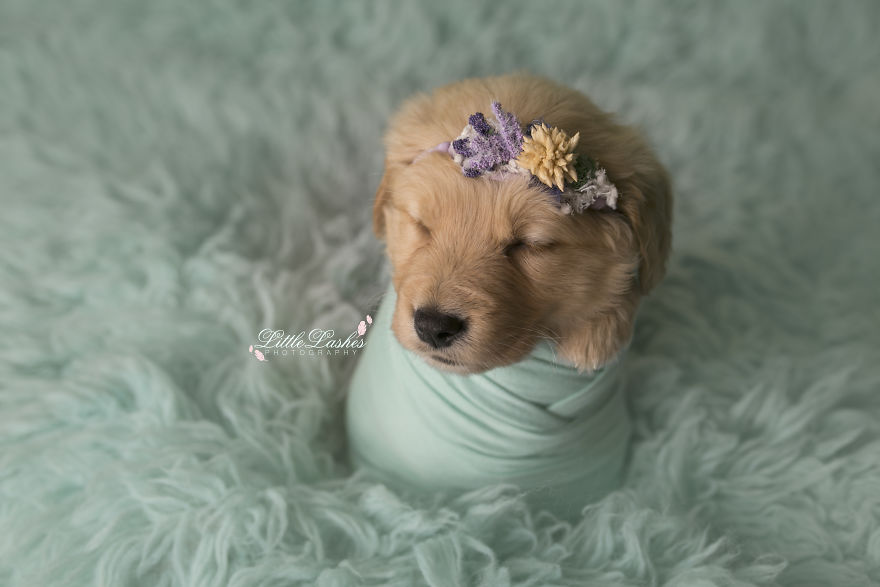 My Son Kept Asking Me For A New Baby, So I Got One...