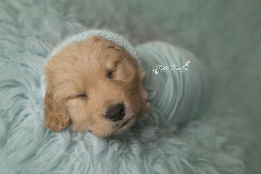 My Son Kept Asking Me For A New Baby, So I Got One... My Son Kept Asking Me For A New Baby, So I Got One...