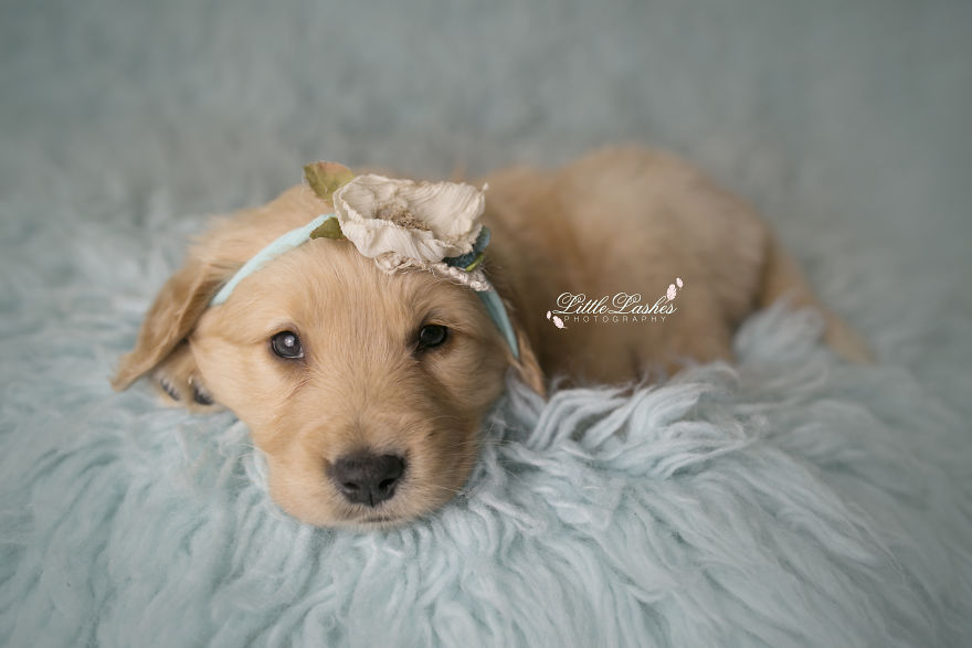 My Son Kept Asking Me For A New Baby, So I Got One...