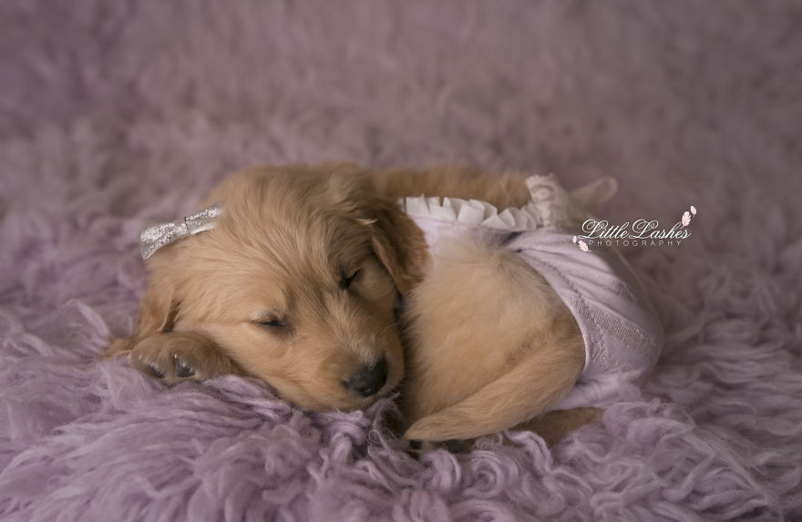 My Son Kept Asking Me For A New Baby, So I Got One...