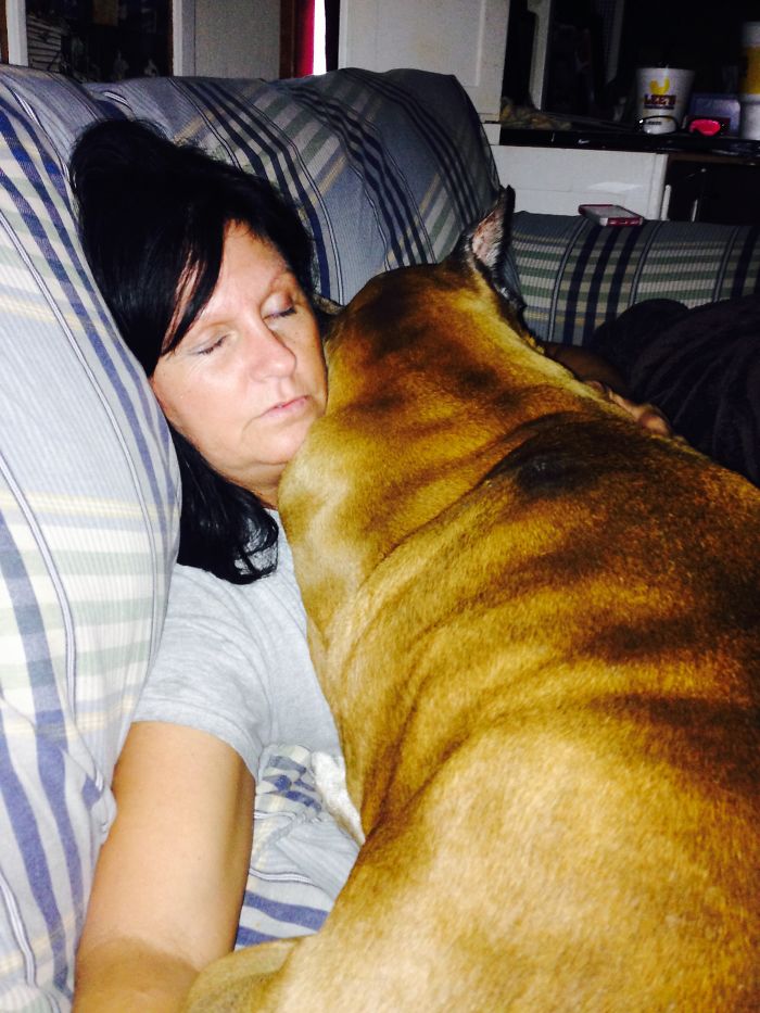 Hi There My Name Is Lisa & This Is My Sweet Little Boy Isaac I Adopted Him When He Was 6 Weeks Old He Is 13 Years Old But He Is & All Ways Will Be Momma's Little Baby I Love Him Moor Then Life It's Self 🐾