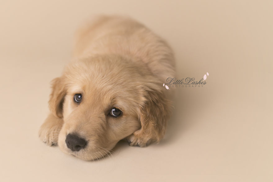 My Son Kept Asking Me For A New Baby, So I Got One... My Son Kept Asking Me For A New Baby, So I Got One...