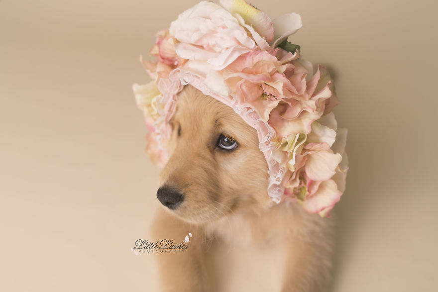 My Son Kept Asking Me For A New Baby, So I Got One...