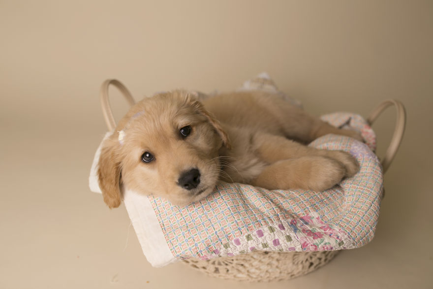 My Son Kept Asking Me For A New Baby, So I Got One...