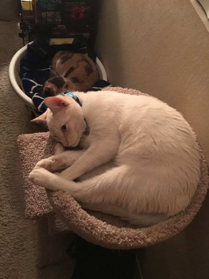 If I Fits I Sits With Two