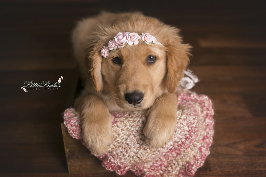 My Son Kept Asking Me For A New Baby, So I Got One...