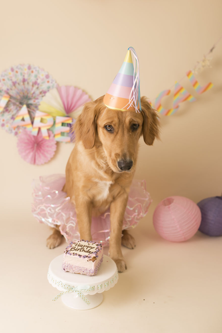 My Son Kept Asking Me For A New Baby, So I Got One...