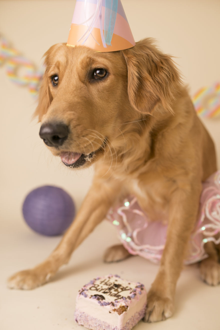 My Son Kept Asking Me For A New Baby, So I Got One...