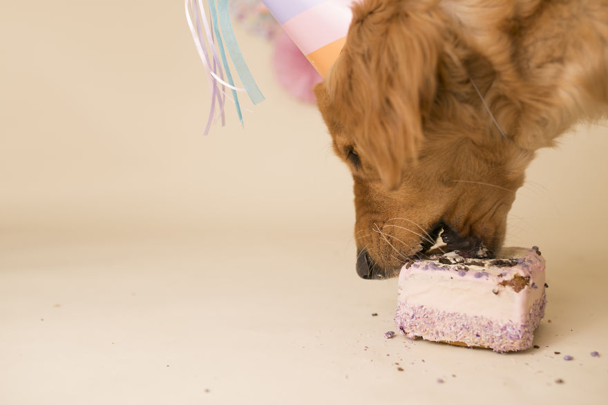 My Son Kept Asking Me For A New Baby, So I Got One... My Son Kept Asking Me For A New Baby, So I Got One...