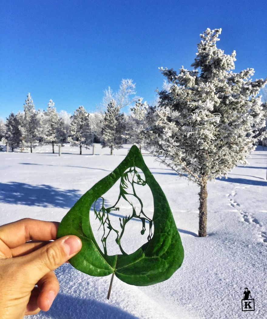 Few More Recent Works On Leaves