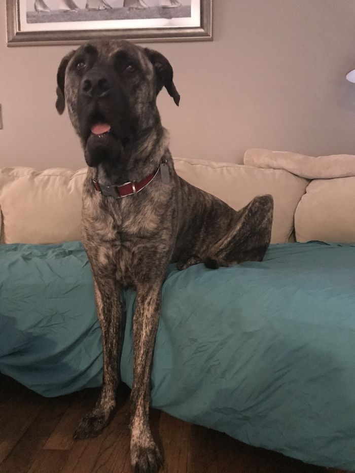 Is This Not How You Do It?