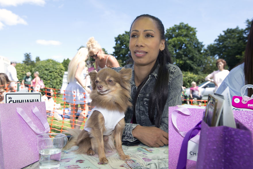 Someone Threw A Festival Just For Chihuahuas And The Pictures Will Make Your Day.