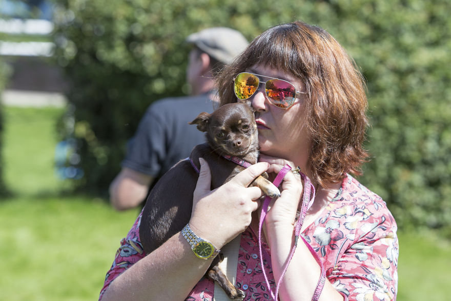 Someone Threw A Festival Just For Chihuahuas And The Pictures Will Make Your Day. Someone Threw A Festival Just For Chihuahuas And The Pictures Will Make Your Day.