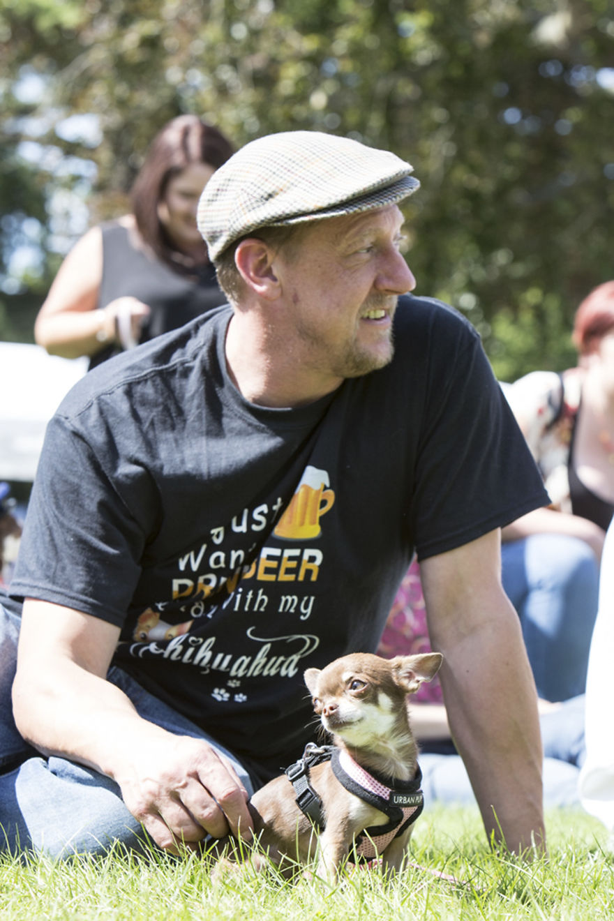 Someone Threw A Festival Just For Chihuahuas And The Pictures Will Make Your Day.