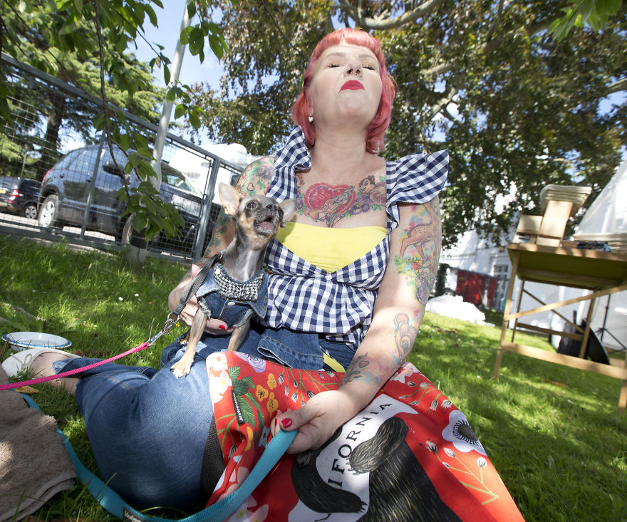 Someone Threw A Festival Just For Chihuahuas And The Pictures Will Make Your Day.