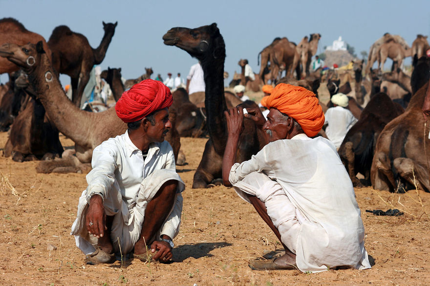 Pushkar, India, 2008