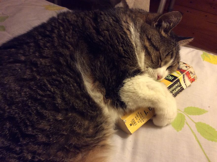 Keeping My Spot Warm Or....