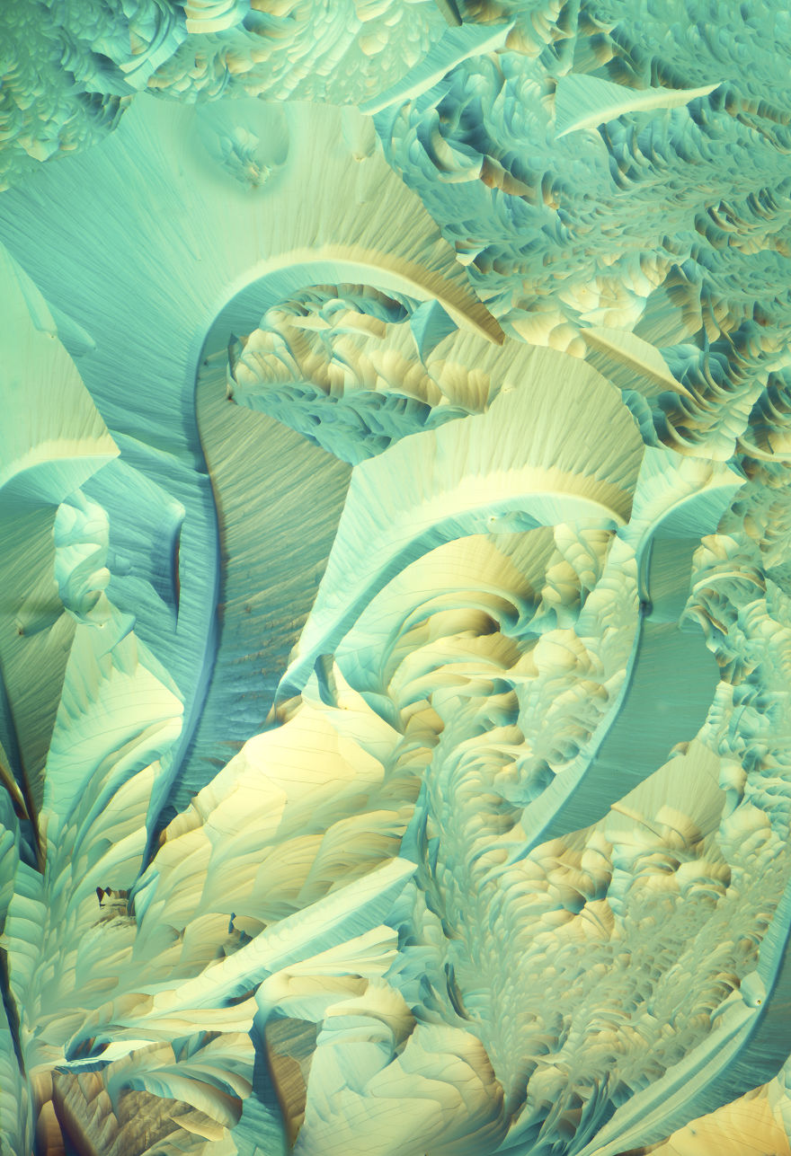 I've Spent The Past Year Photographing Crystalized Substances Through My Microscope