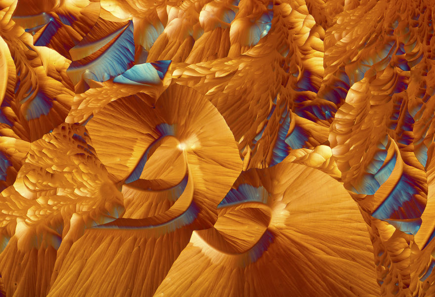 I've Spent The Past Year Photographing Crystalized Substances Through My Microscope