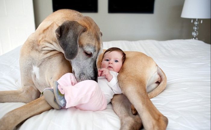 #little Man's Best Friend