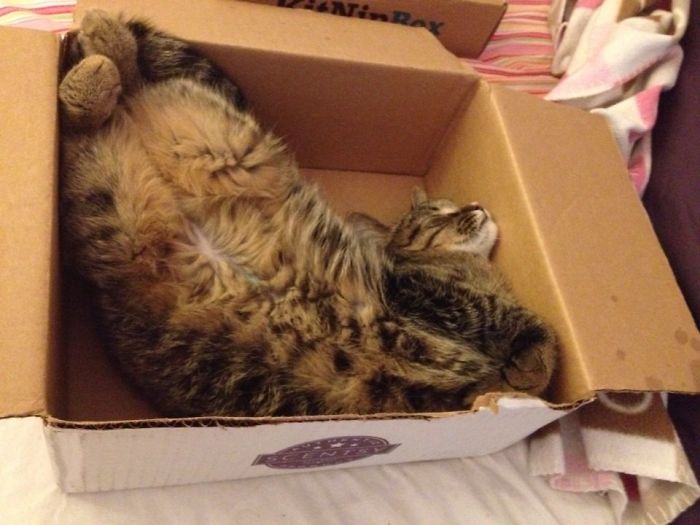 How Is This Comfortable?