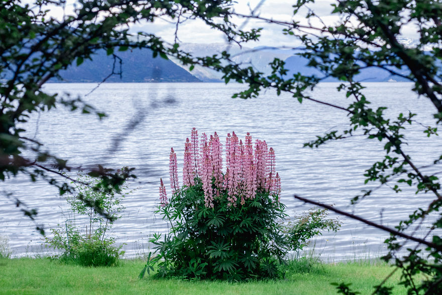 I Spent My Summer Photographing Balestrand, A Hidden Village In Norway