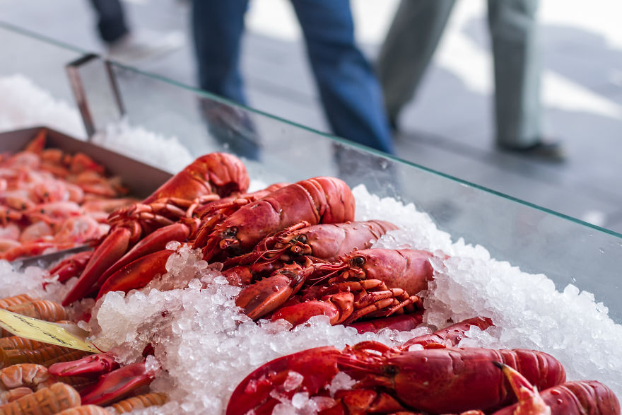 Bergen, A Photographer's Dream!