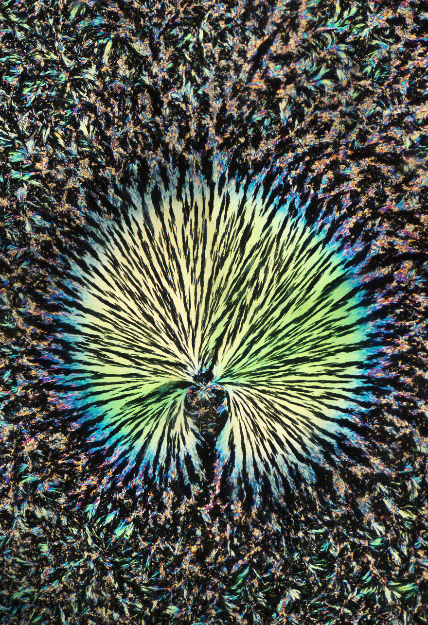 I've Spent The Past Year Photographing Crystalized Substances Through My Microscope