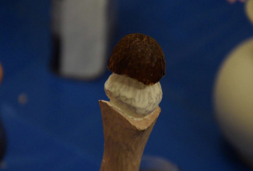 Mushroom Knife With Carved Handle And Recycled Blade Mushroom Knife With Carved Handle And Recycled Blade