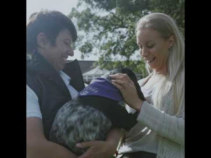 The Dog Saved By Crowdfunding