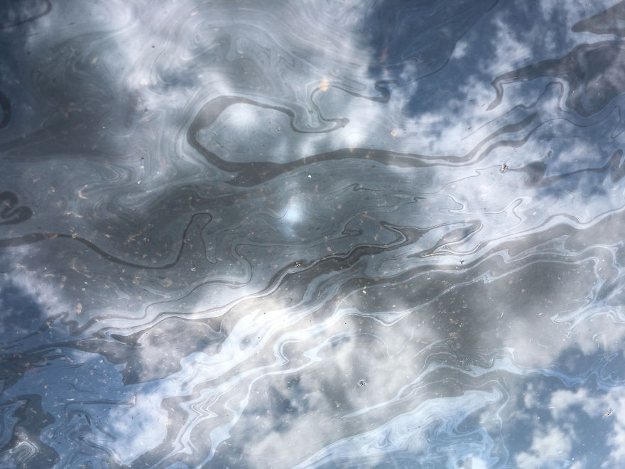 My Photography Captures Everyday Views Of Our World From Puddle Reflections