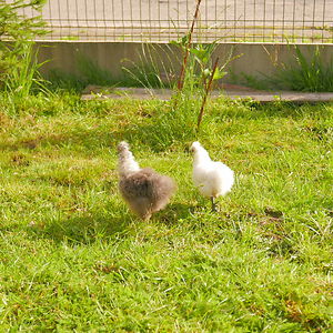 j_wolodkiewicz avatar