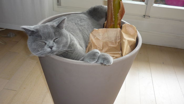 Because Plants Need Friends Too...