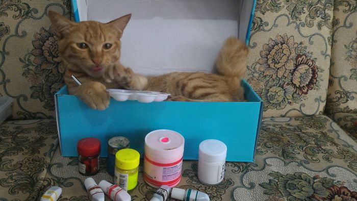 I Wanna Paint Too !!