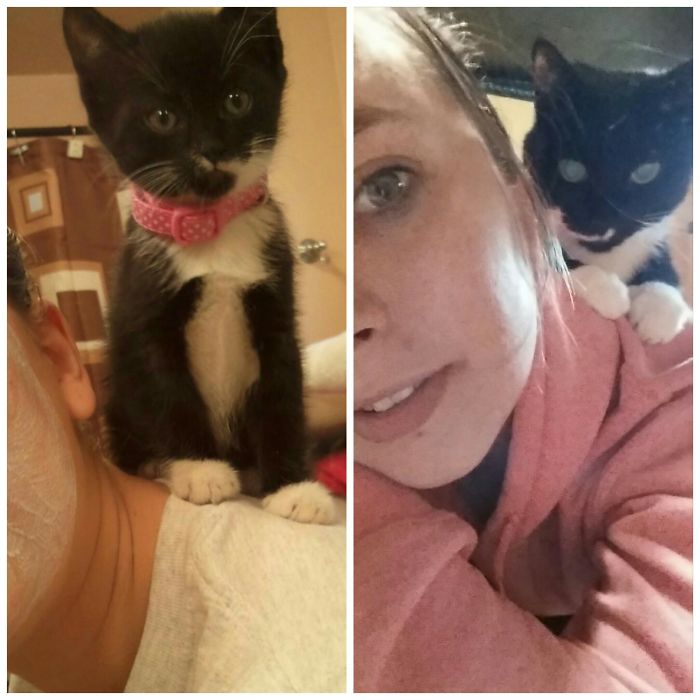 Princess, And She Still Loves To Sit On My Shoulder!