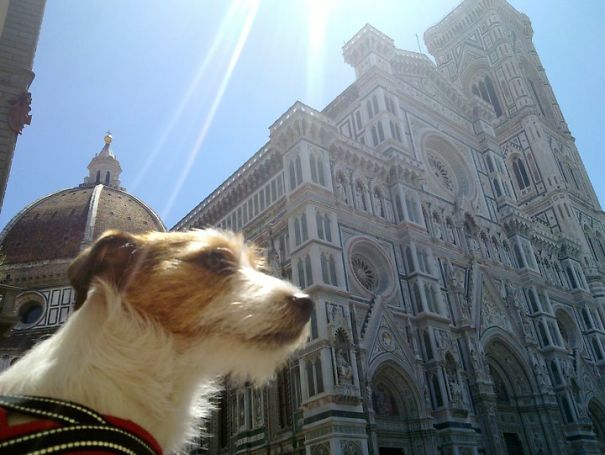 Florence, Italy. I Look Majestic