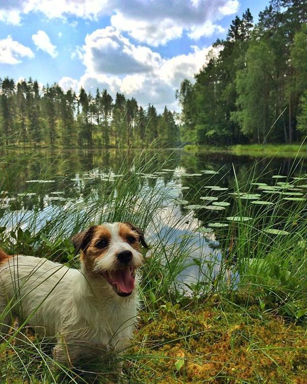 The Best Theme Park, Ever! Finland