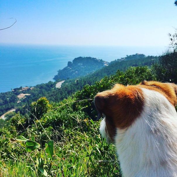 Côte D'azur, French Riviera