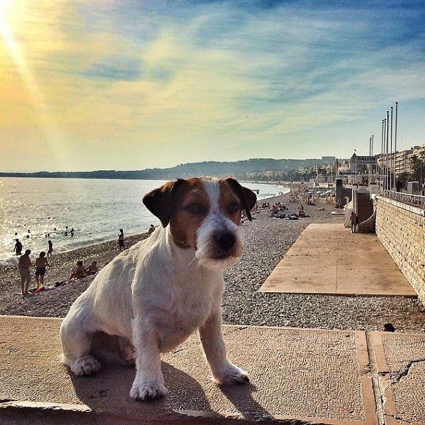 Nice... I Mean Nice, France