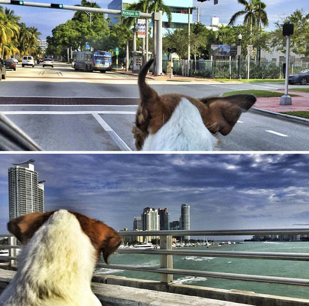 I'm In Miami Baby! Miami, Florida U.s.a